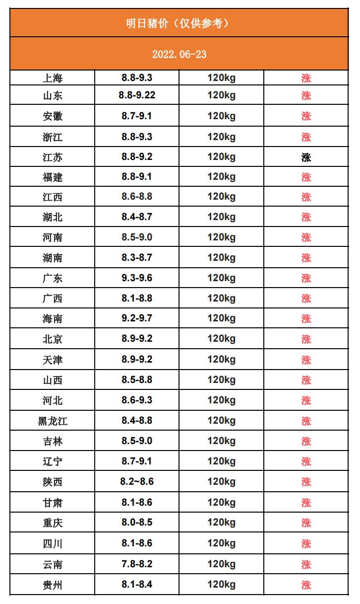 明日豬價行情解析，最新動態(tài)與市場趨勢分析