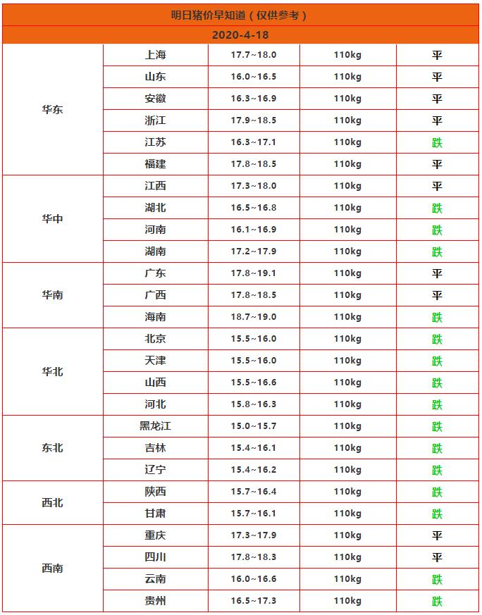 明日豬價行情解析，最新動態(tài)與市場趨勢分析