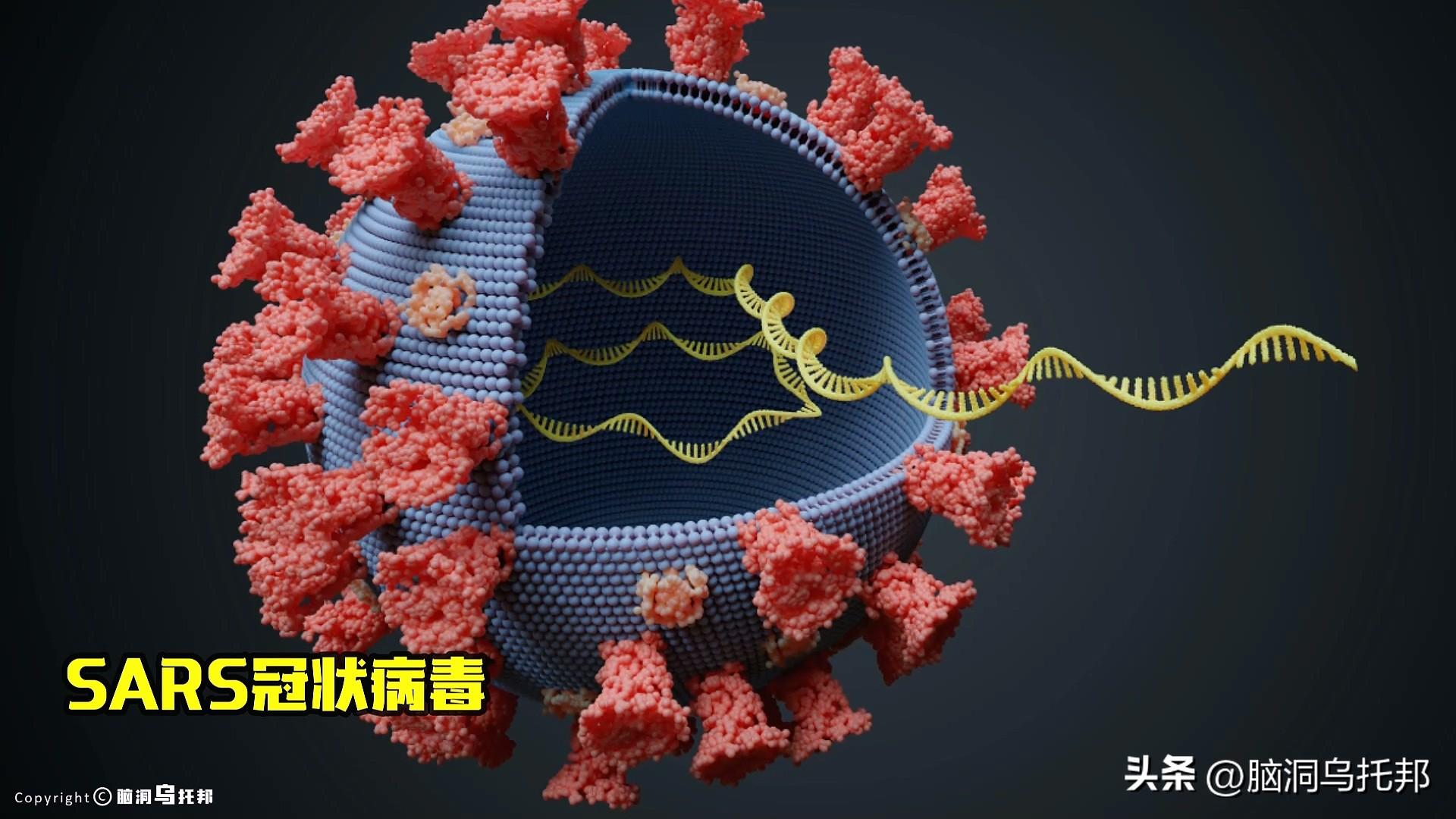 無(wú)癥狀感染者的深度解析與最新通報(bào)