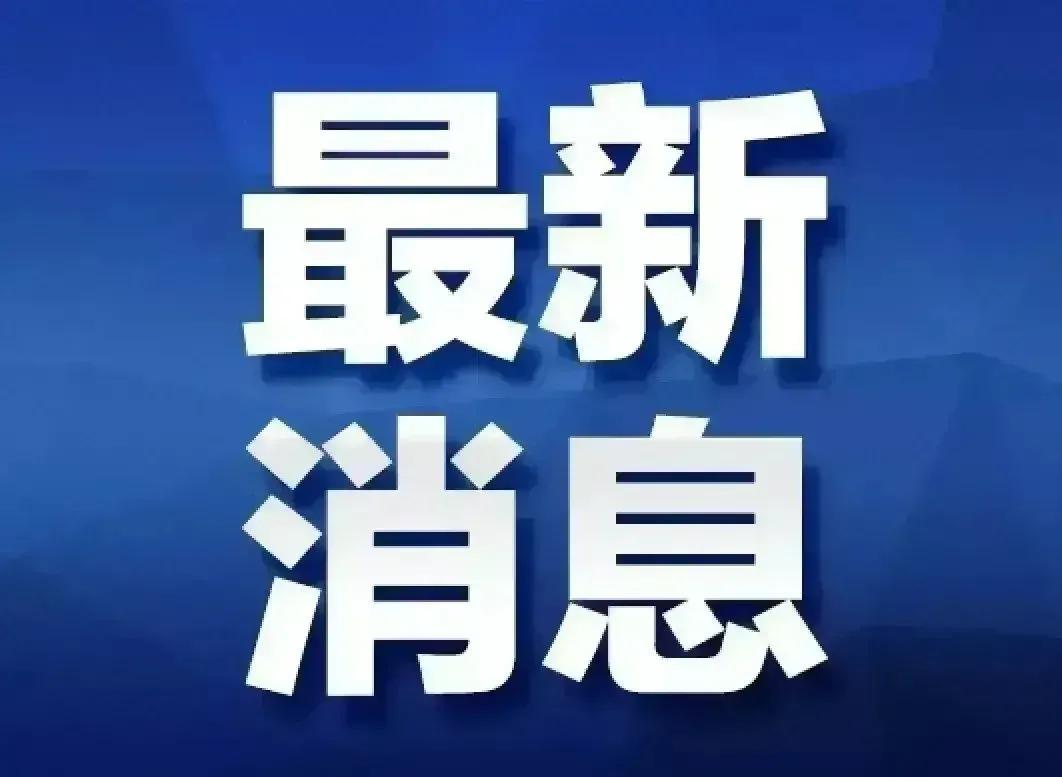 疫情分析最新通報，最新動態(tài)與趨勢解讀