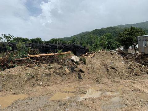 韓國(guó)遭遇臺(tái)風(fēng)襲擊，災(zāi)害影響深度分析