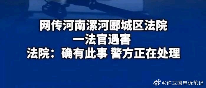 河南最新違法案件深度解析