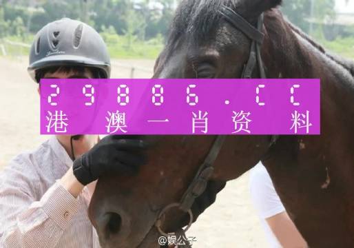 今晚一肖一码澳门一肖com,真挚解答解释落实_1080p78.183