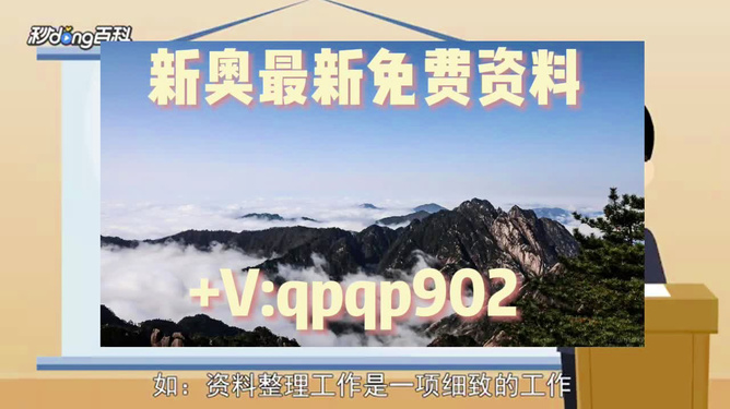 2024年正版资料免费大全一肖,探讨性落实解答执行_收藏版30.26