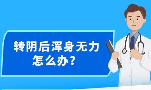 新澳精准资料大全免费更新,准确资料解释定义_高级版39.267