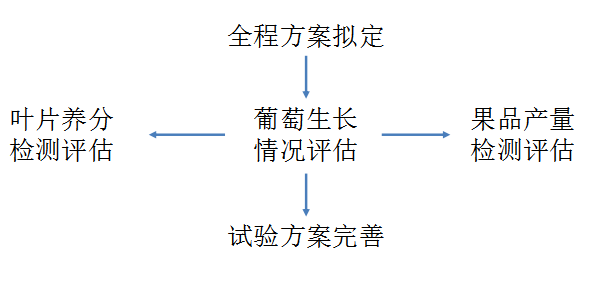 2024新奥历史开奖记录香港,可行性方案评估_复原版33.716