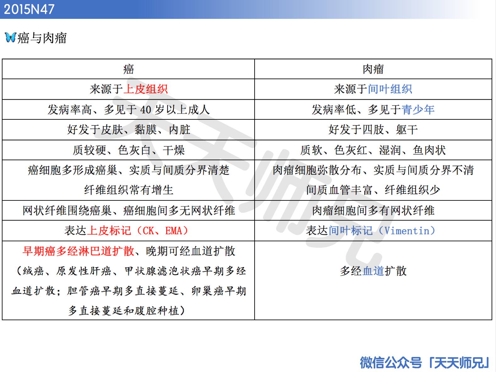 新址246(944CC)天天彩免费资料大全,简捷解答解释落实_WP集76.338