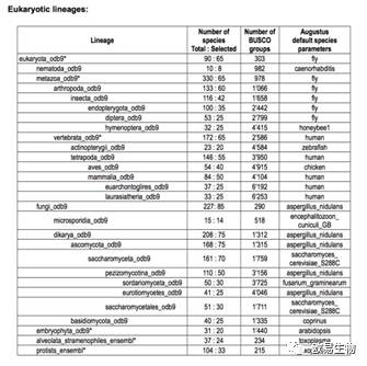 2024新澳免费资料成语平特,安全评估策略_白银版27.509