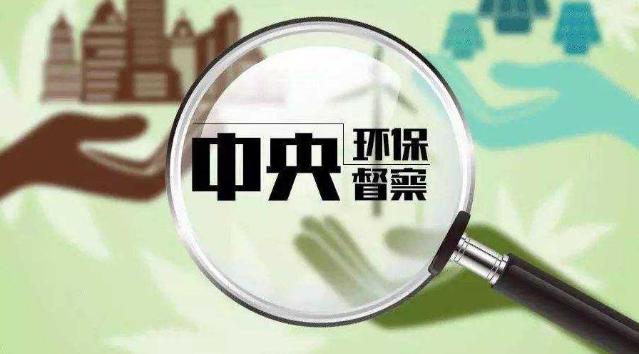 2024管家婆一肖一特,反馈机制实施落实_合金版1.9