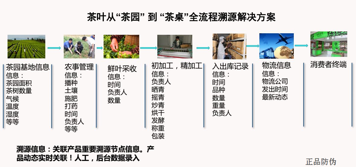 2024管家婆一码一肖资料,模型分析解答解释措施_延续版17.214