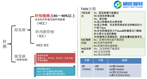 肝癌晚期治疗新方法研究与应用进展