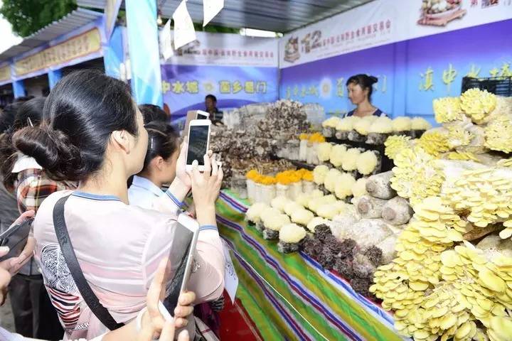 食用菌最新动态引领健康饮食新时代