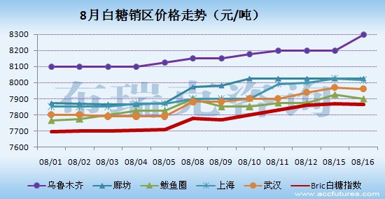 今日糖价行情分析与市场走势预测