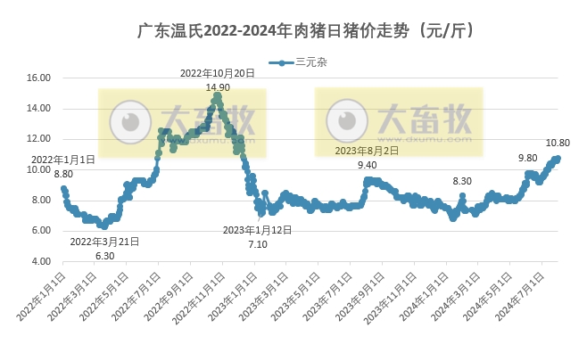 广东温氏猪价最新报价及市场走势深度解析