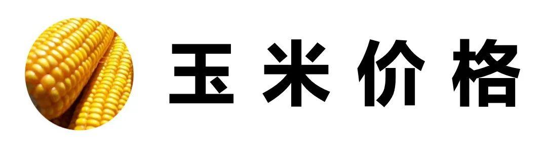 将玻化粒料 第16页