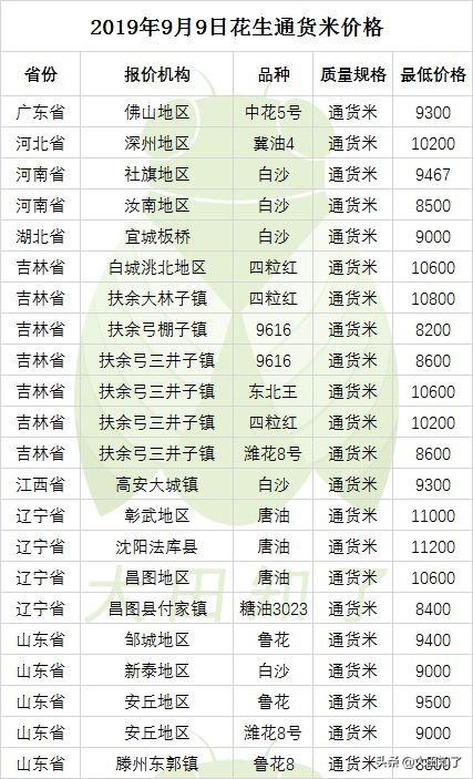 河南花生米今日最新价格动态解析