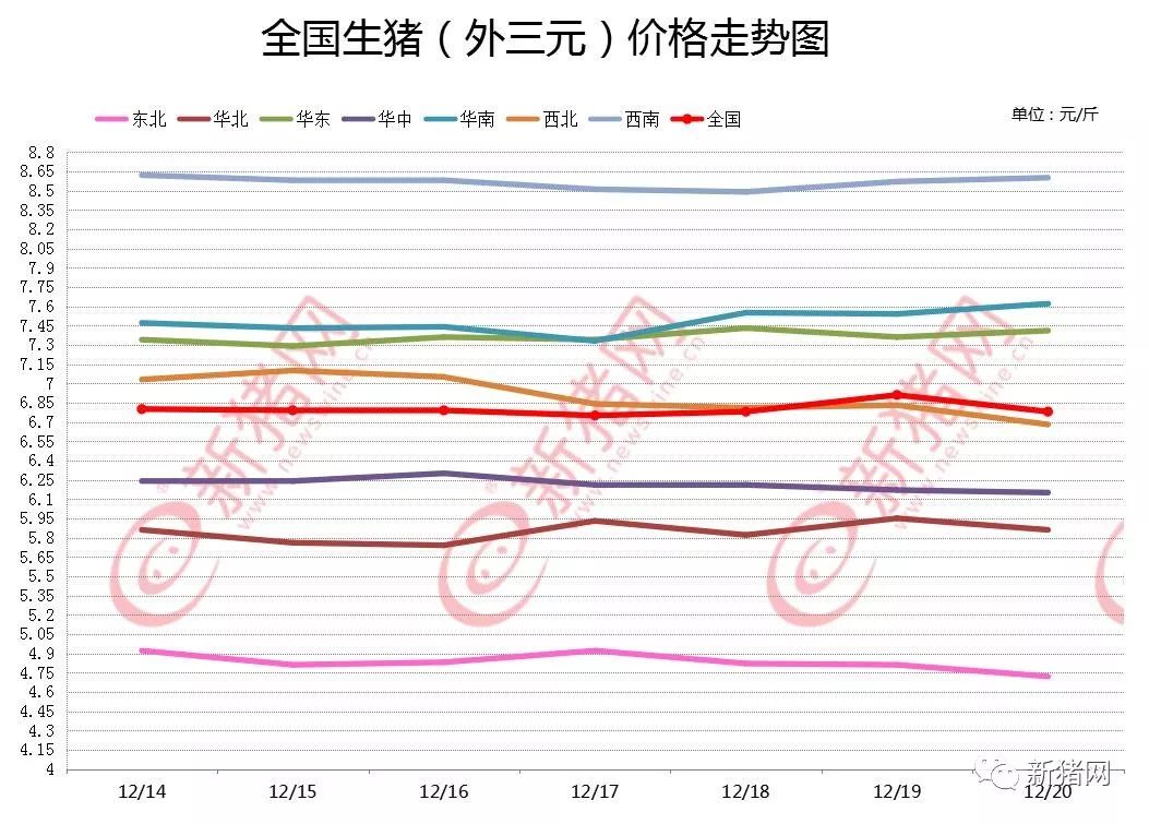 猪e网今日生猪价格最新动态